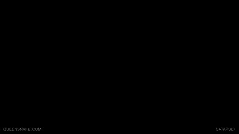 33913